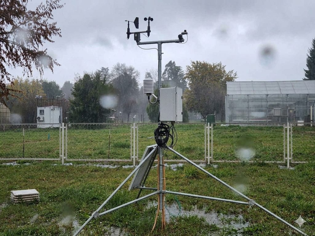 Frutales en floración bajo amenaza de lluvias intensas debido al fenómeno de El Niño