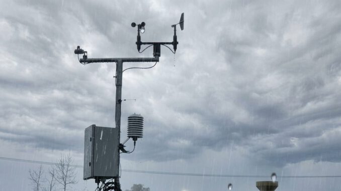 Frutales en floración bajo amenaza de lluvias intensas debido al fenómeno de El Niño