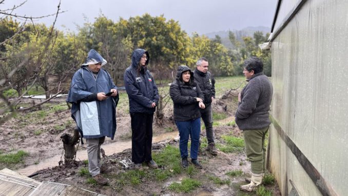 Equipos de INDAP realizando catastro de daños en cultivos tras el sistema frontal en el sur de Chile