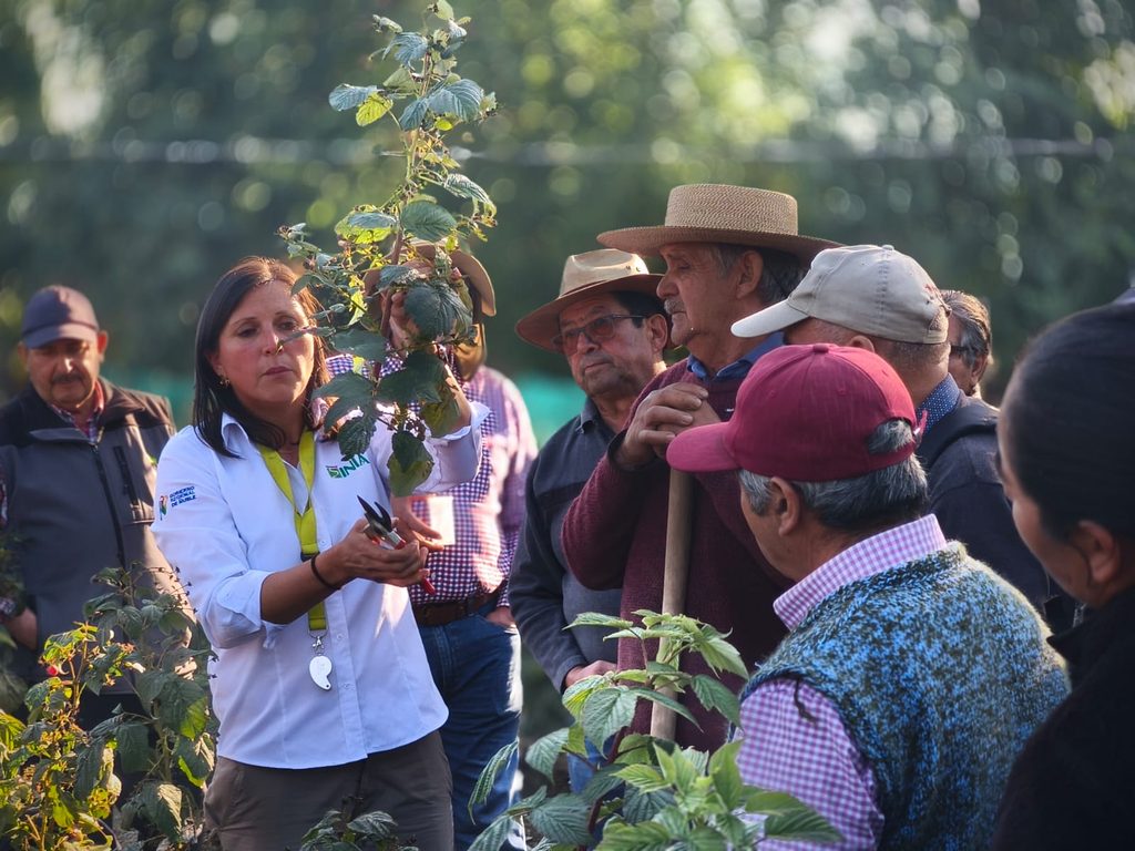 Agricultores de la región de Ñuble junto a expertos de INIA Quilamapu en el lanzamiento de nuevas especies frutales