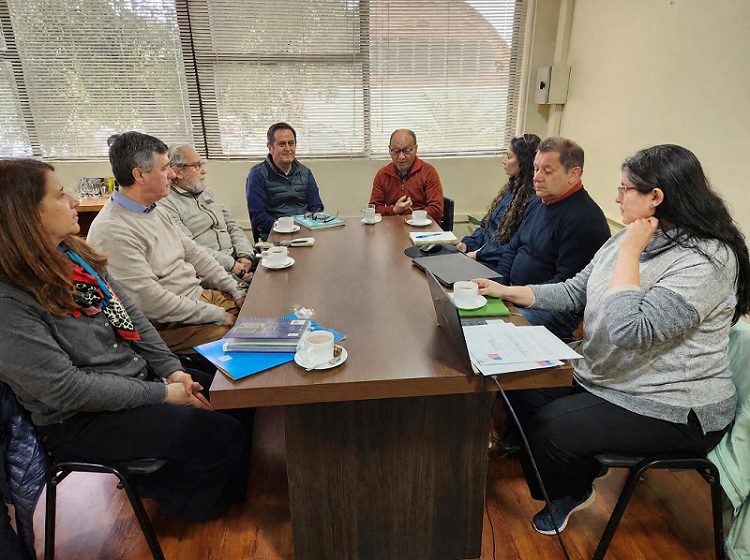 Investigadores analizando el dispositivo Lignitrap para el control del escarabajo de la corteza del pino en Chile.