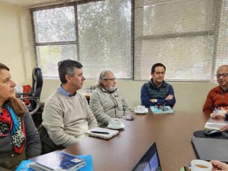 Investigadores analizando el dispositivo Lignitrap para el control del escarabajo de la corteza del pino en Chile.
