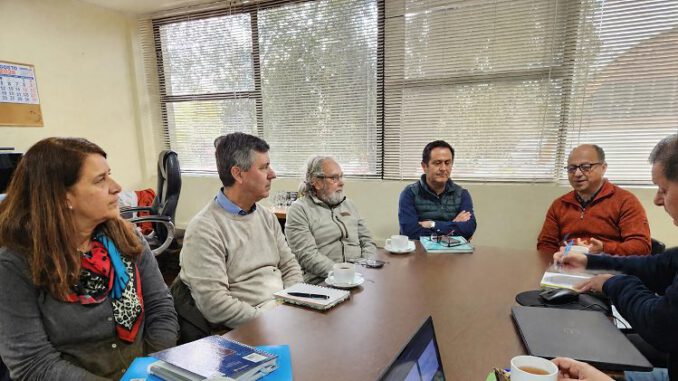 Investigadores analizando el dispositivo Lignitrap para el control del escarabajo de la corteza del pino en Chile.