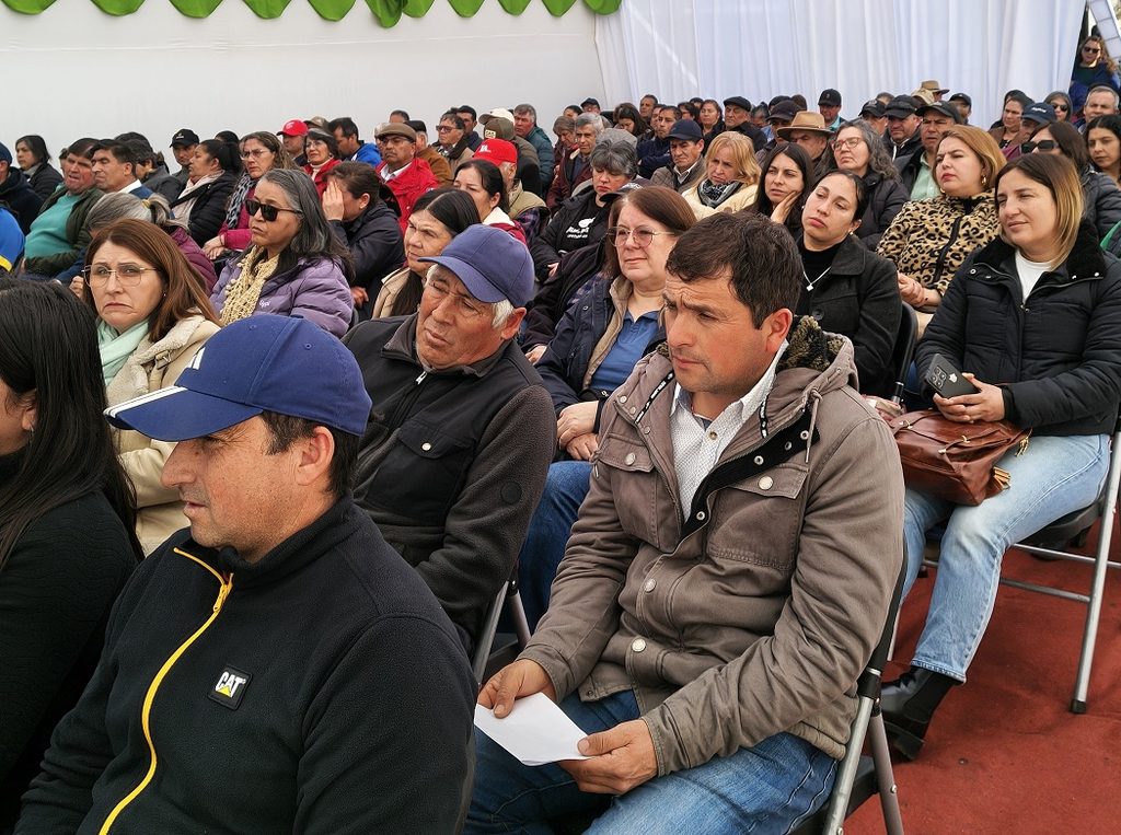 Entrega de plantas de frutilla variedad Albion a agricultores locales por parte del INIA en el Maule