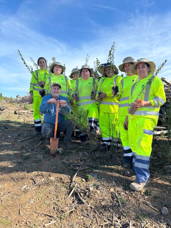 Trabajadoras de CONAF realizando plantación de especies nativas en predio afectado por incendios