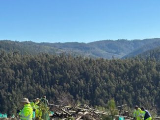 Trabajadoras de CONAF realizando plantación de especies nativas en predio afectado por incendios