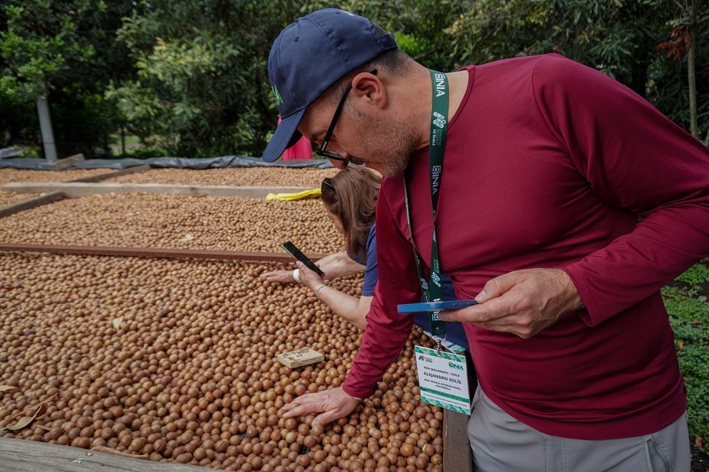 Agricultores de Ñuble visitando plantaciones de macadamia en Guatemala durante gira técnica