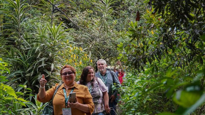 Agricultores de Ñuble visitando plantaciones de macadamia en Guatemala durante gira técnica