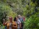 Agricultores de Ñuble visitando plantaciones de macadamia en Guatemala durante gira técnica